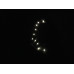 LUCI STRING